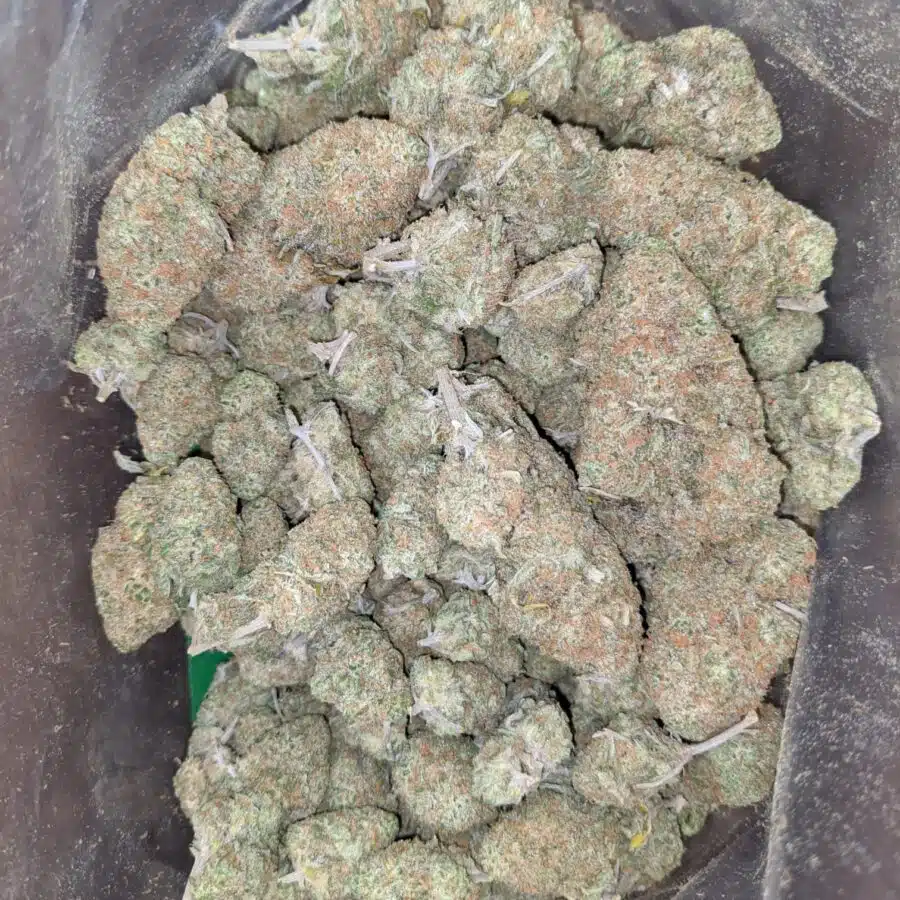 sugar cookies 1 I $ 59 Oz - Sugar Cookies