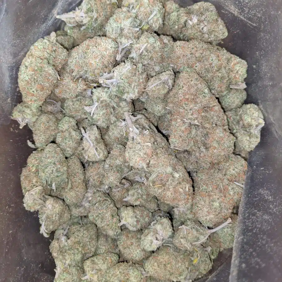 sugar cookies 2 I $ 59 Oz - Sugar Cookies