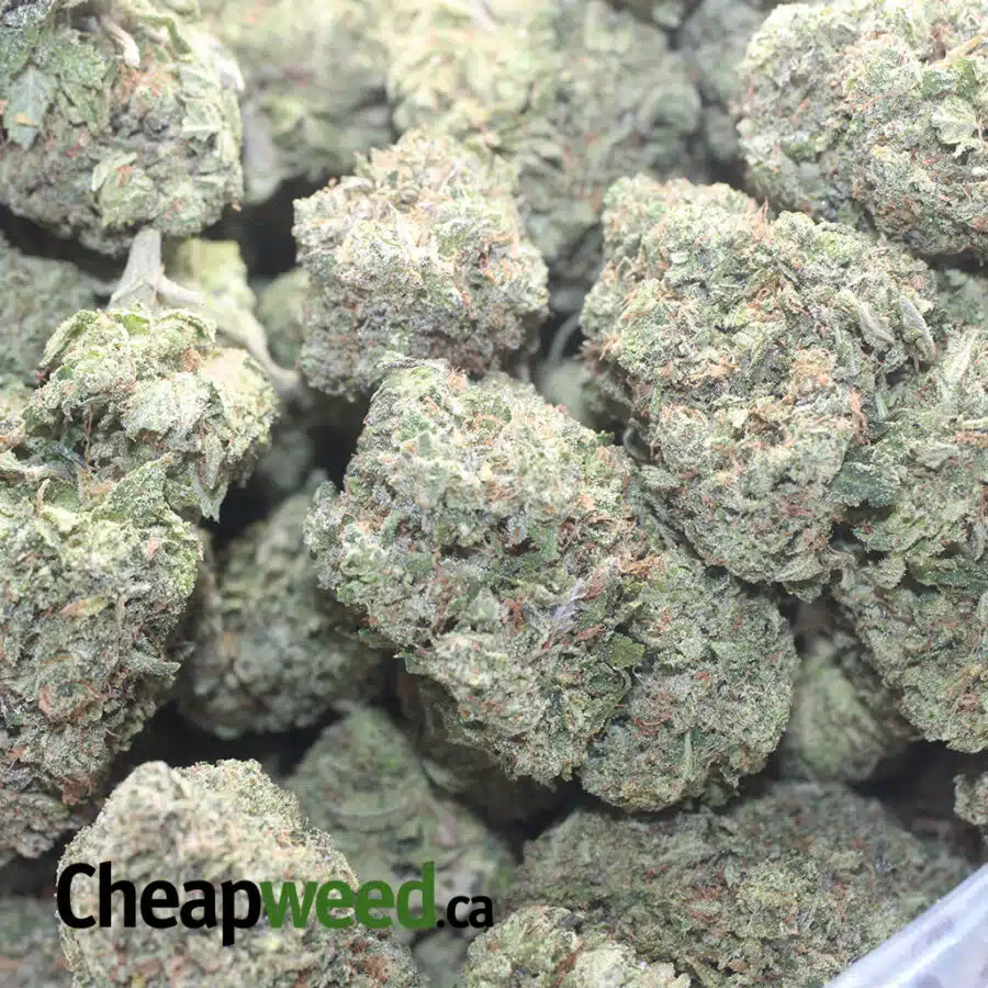 BRUCE BANNER AAA 3 I Bruce Banner AAA