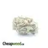 $ 38 Oz - Cougar Piss