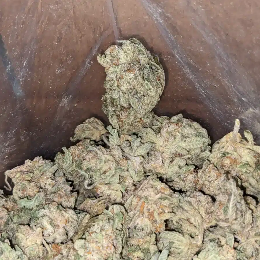 Cherry Pie 1 I Cherry Pie