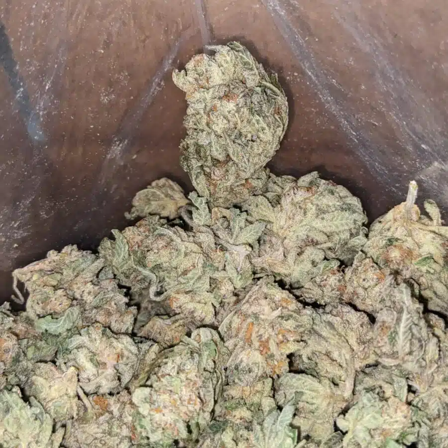 Cherry Pie 3 I Cherry Pie