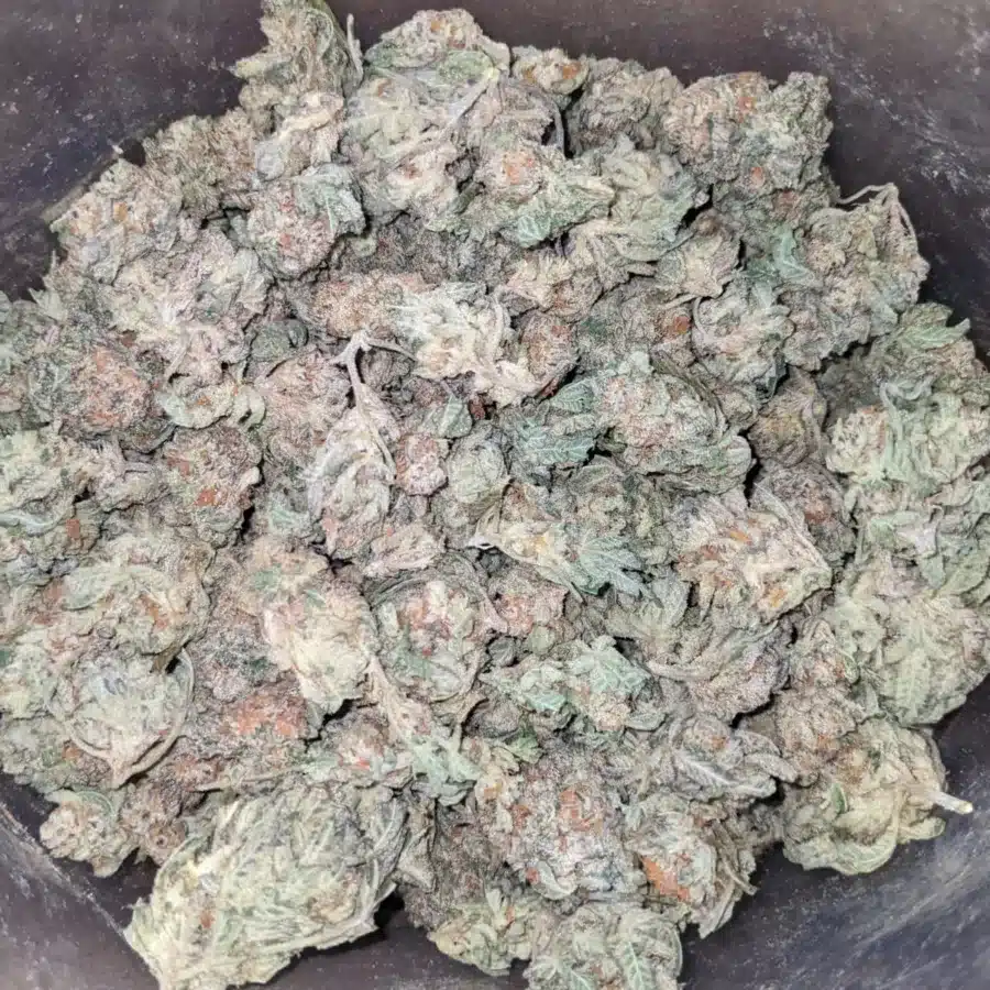 Cherry Pie