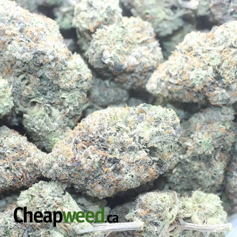 DEATH STAR AAAA 1 I Death Star AAAA