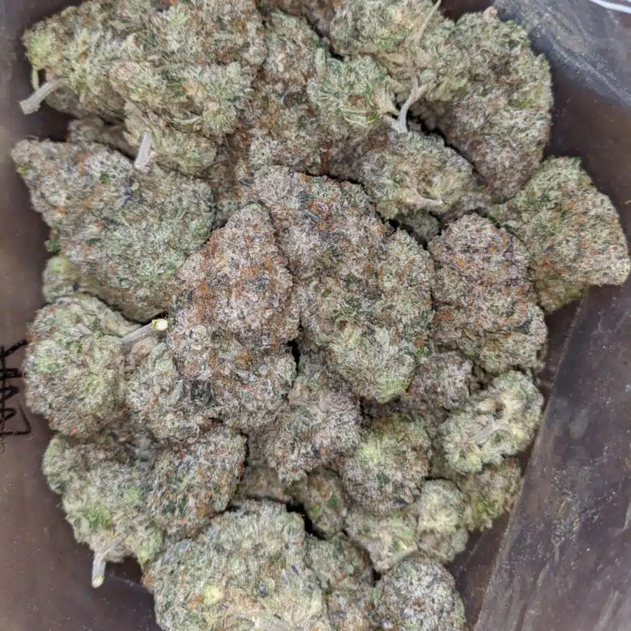 Death Star aaaa 4 I Death Star AAAA