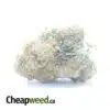 Exodus Cheese