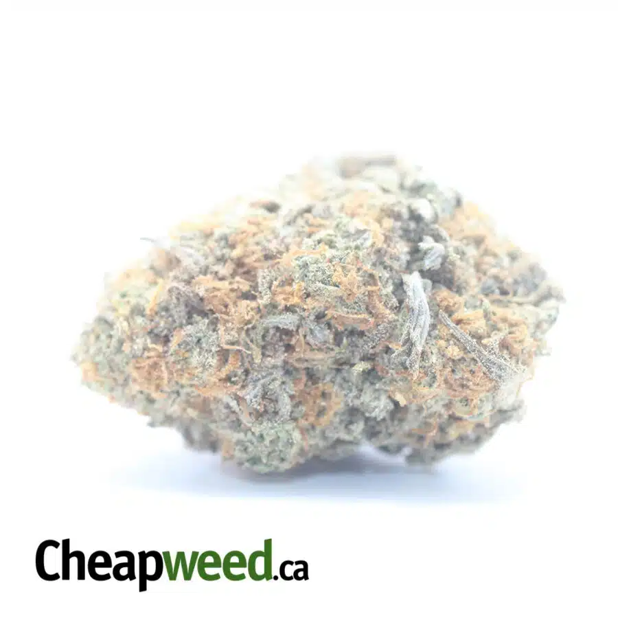$ 55 Oz - Goudaberry