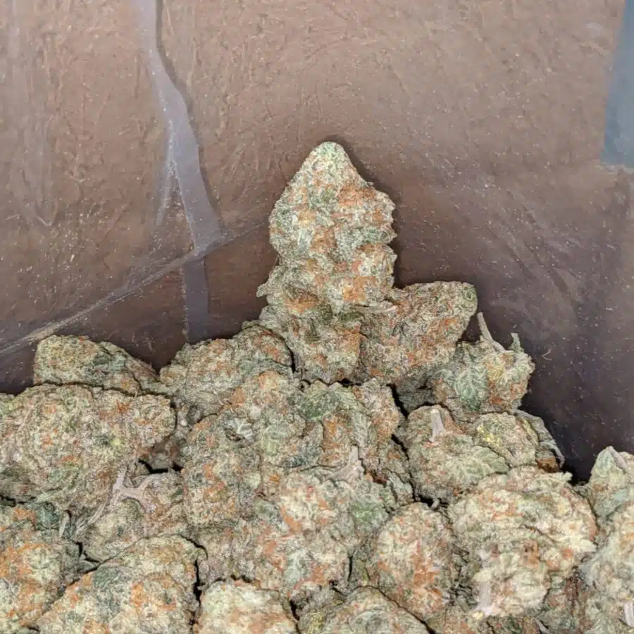 Golden goat 1 I $ 49 Oz - Golden Goat