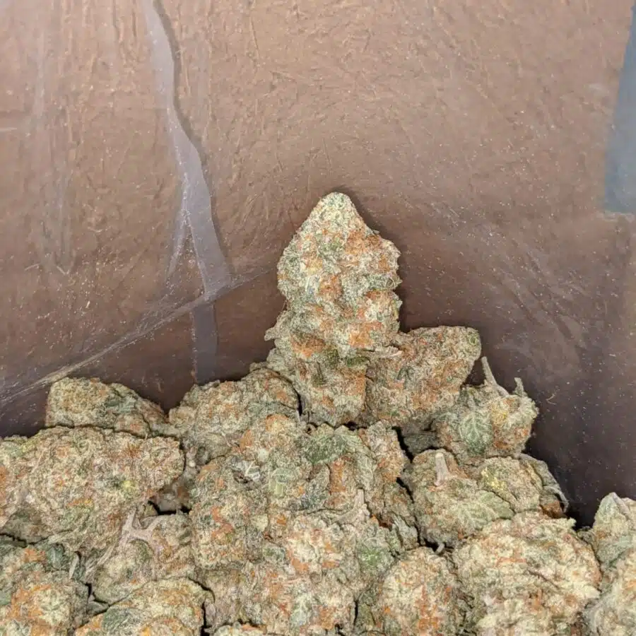 Golden goat 2 I $ 49 Oz - Golden Goat
