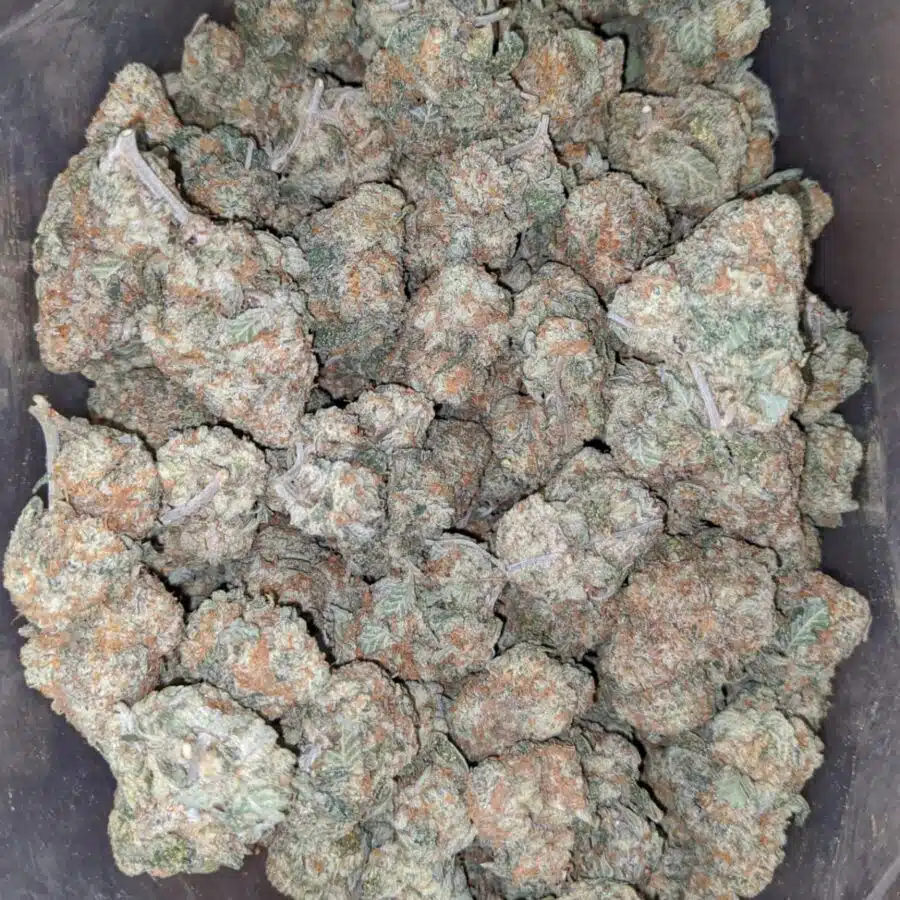 Golden goat 3 I $ 49 Oz - Golden Goat