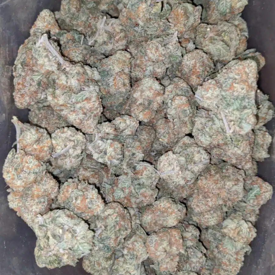 Golden goat 4 I $ 49 Oz - Golden Goat