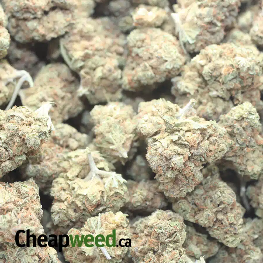 LEMON DIESEL 3 I $ 38 Oz - Lemon Diesel