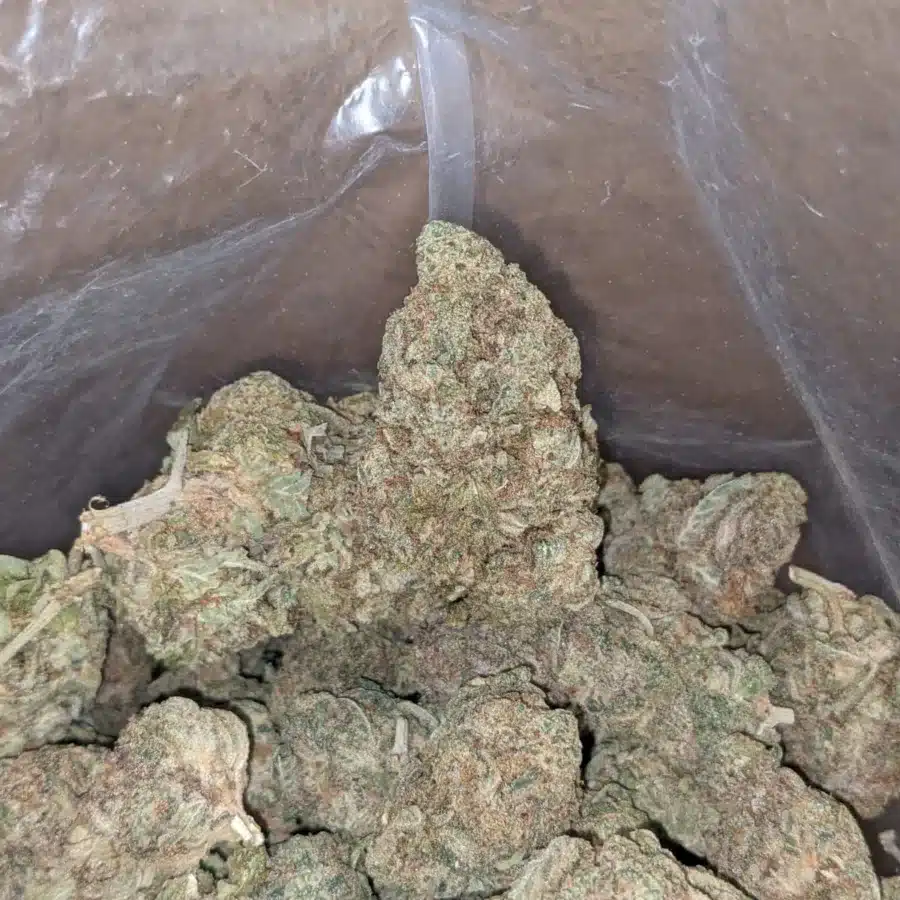 Meat breath 2 I $ 46 Oz - Meat Breath