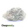 Nuken - *Deal Of The Day*
