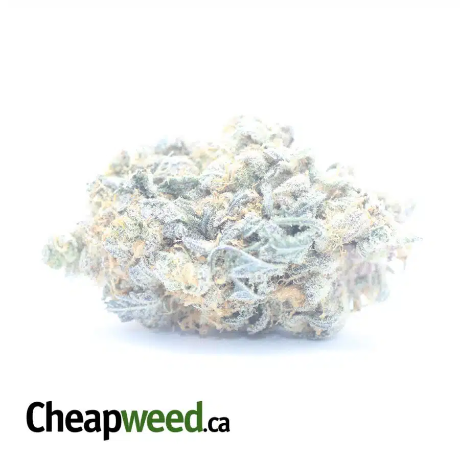 Peanut Butter Breath