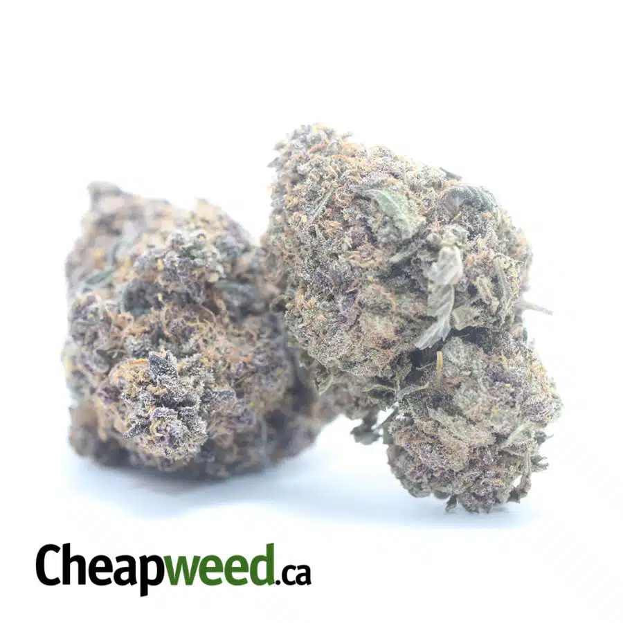 Alternative view of Purple Diesel