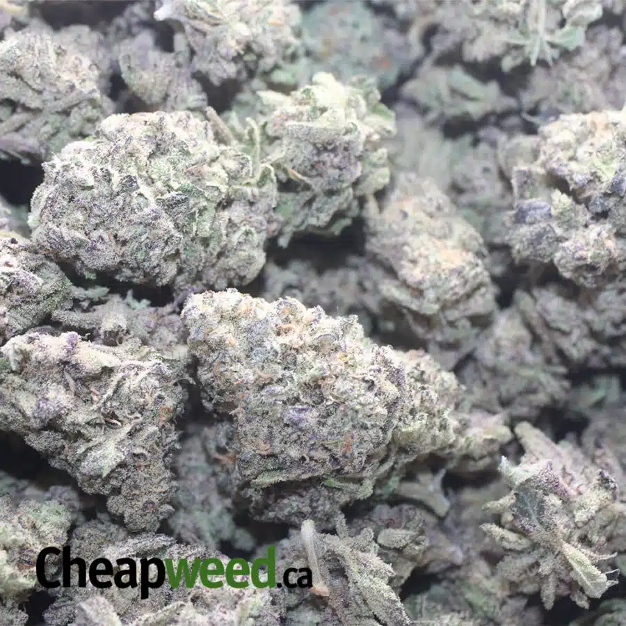 PURPLE LEMON COOKIES 1 I Purple Lemon Cookies