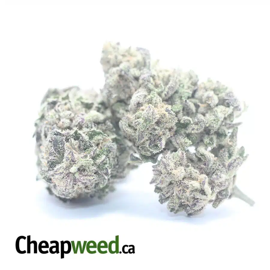 PURPLE LEMON COOKIES 3 I Purple Lemon Cookies