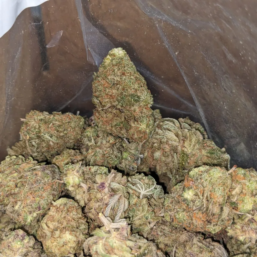 Purple Berry - Image 5