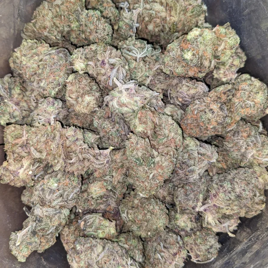 Purple Berry - Image 4
