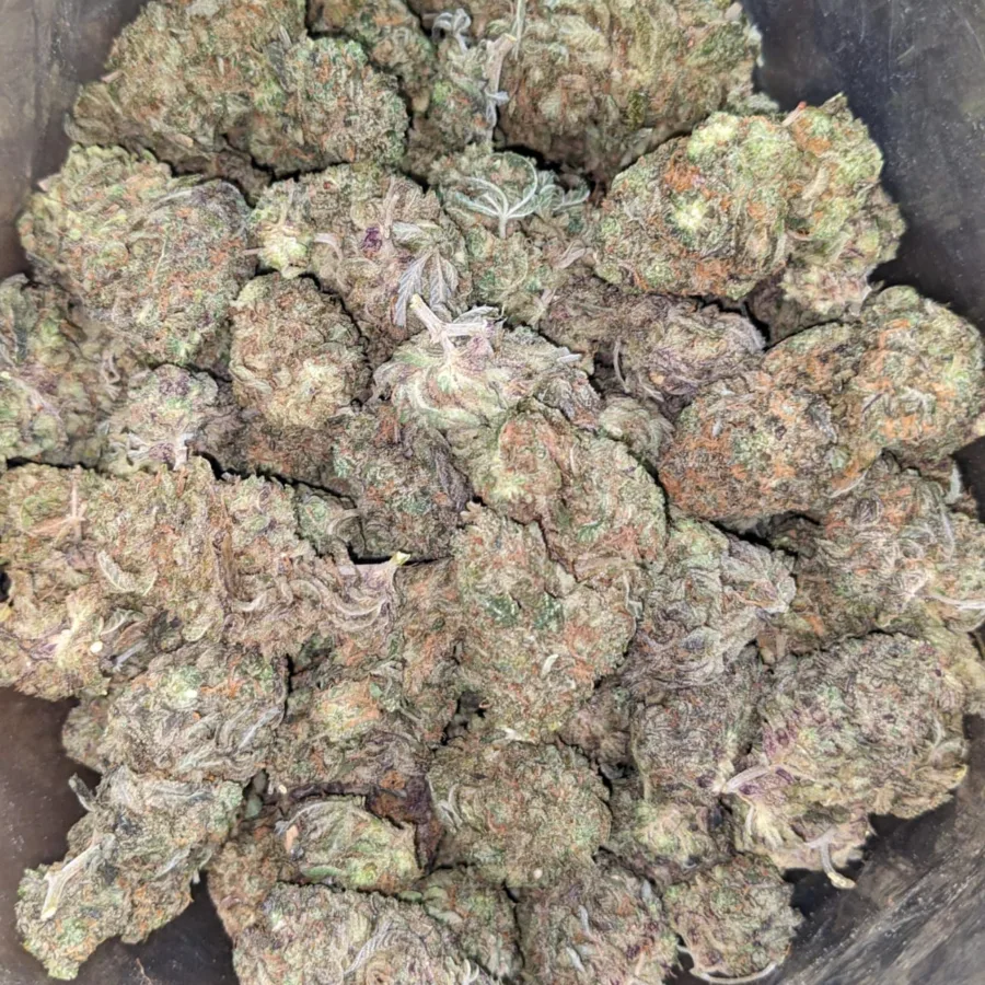 Purple Berry - Image 7