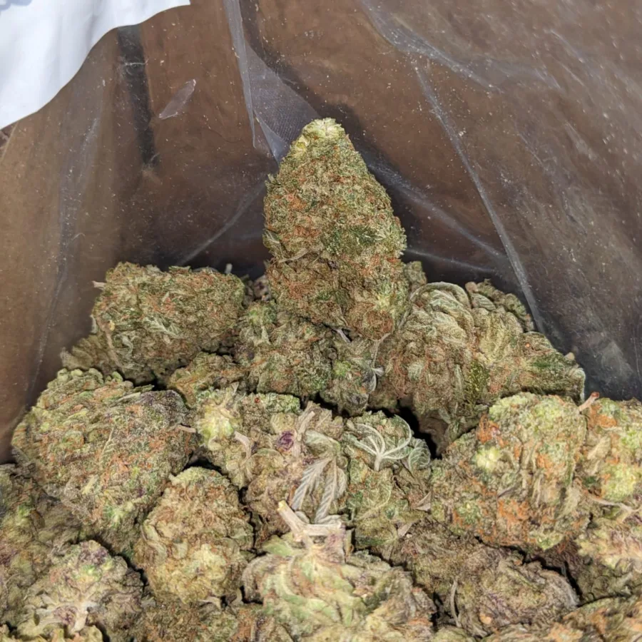 Purple Berry - Image 6