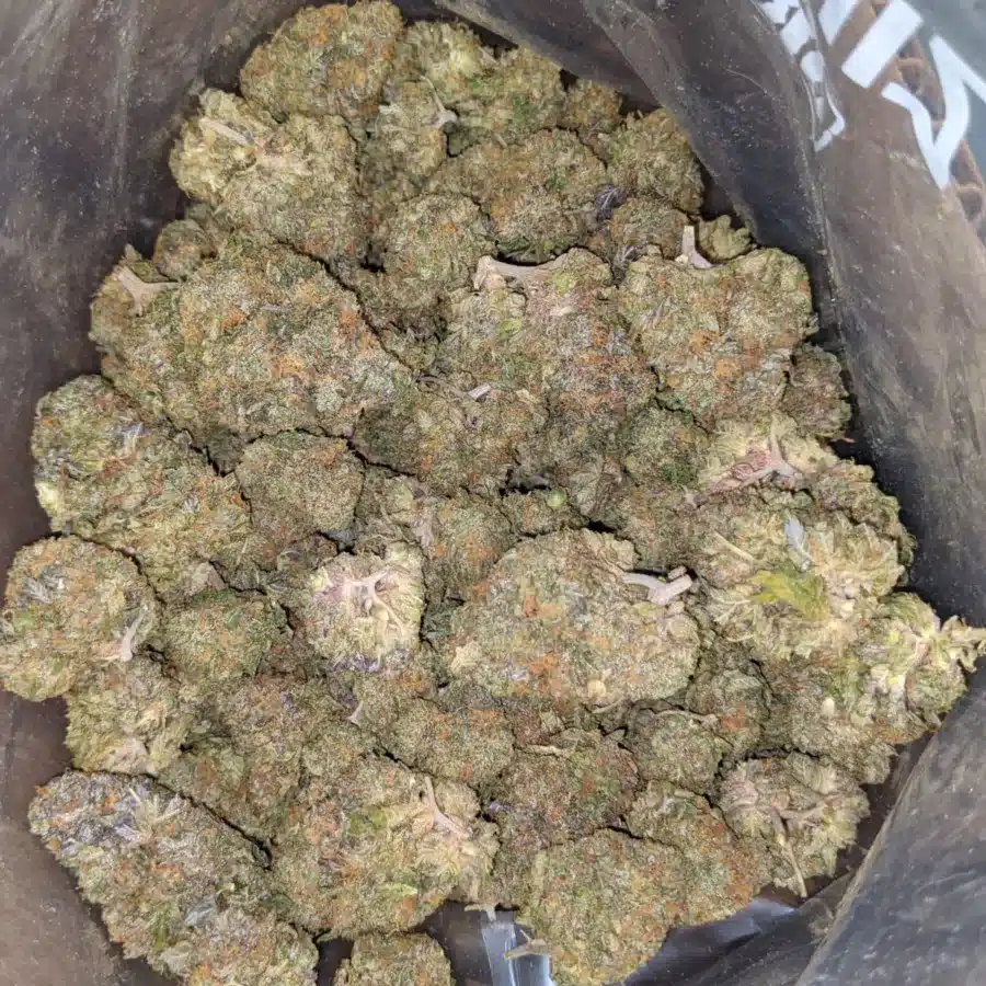 SHISHKABERRY 2 I Shishkaberry