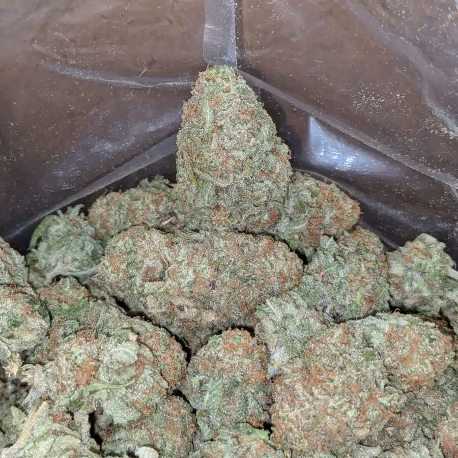 Sunset Sherbert 2 I Sunset Sherbert