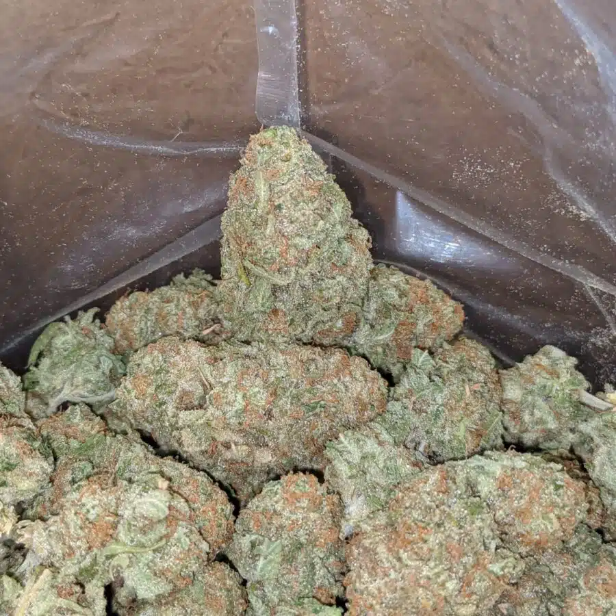 Sunset Sherbert 3 I Sunset Sherbert