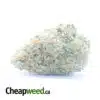 $ 60 Oz - Thunderfuck