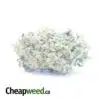 White Lavender