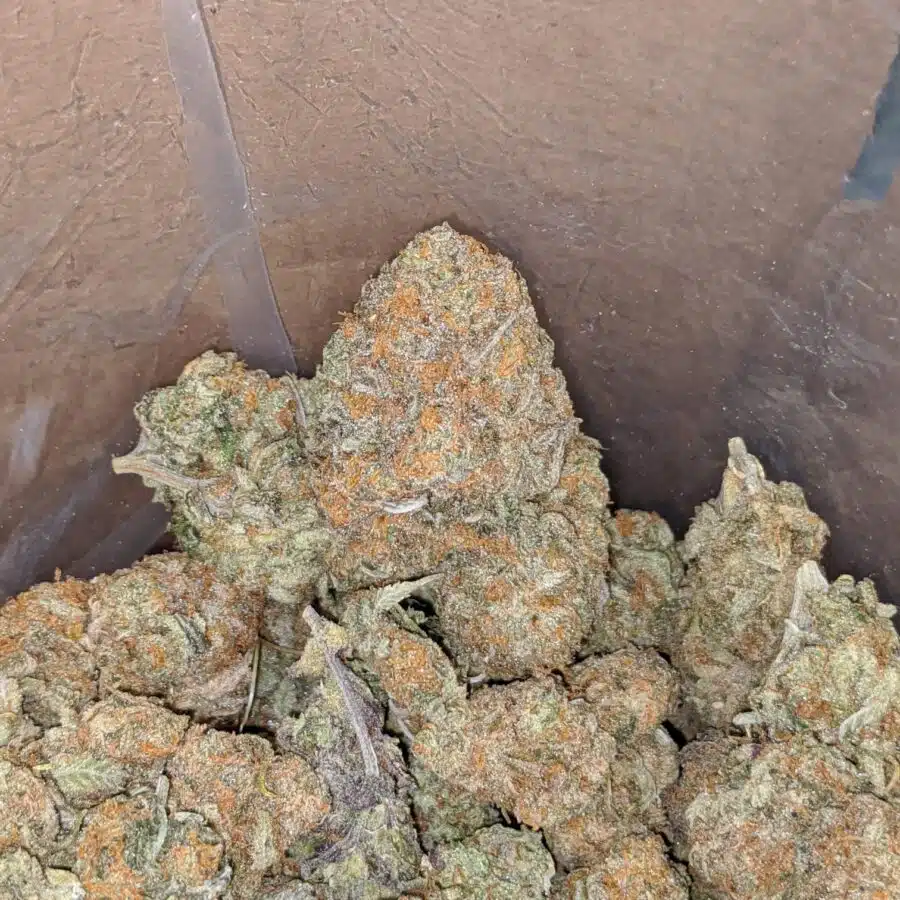 WhatsApp Image 2024 04 07 at 5.53.13 PM 2 I $ 55 Oz - Goudaberry
