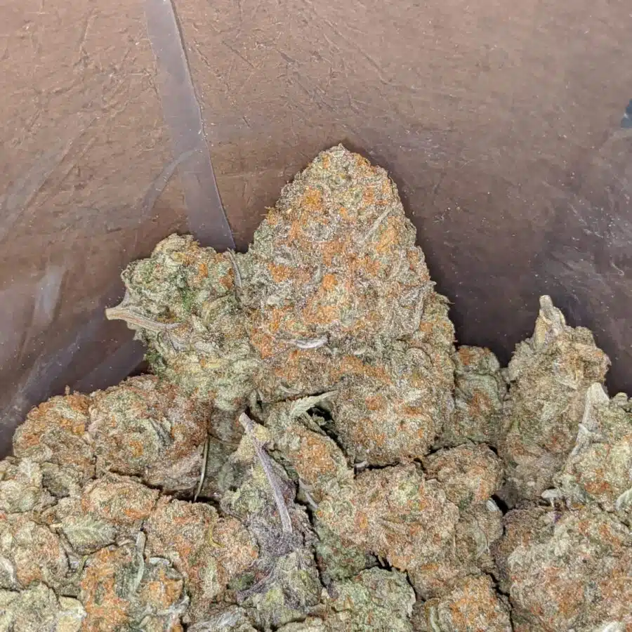 WhatsApp Image 2024 04 07 at 5.53.13 PM 3 I $ 55 Oz - Goudaberry