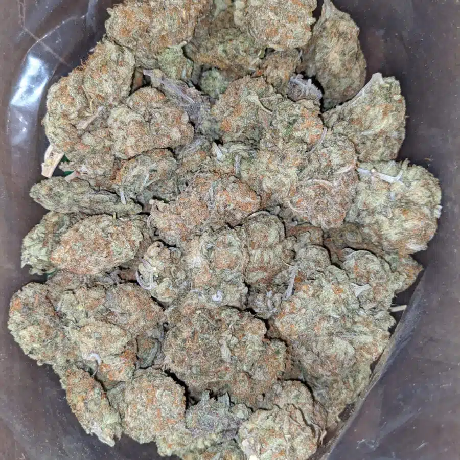 WhatsApp Image 2024 04 07 at 5.53.13 PM I $ 55 Oz - Goudaberry