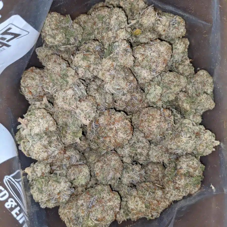 WhatsApp Image 2024 04 26 at 1.53.58 PM 1 I Space Zkittles
