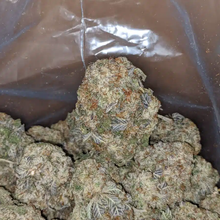WhatsApp Image 2024 04 26 at 1.53.58 PM 2 I Space Zkittles