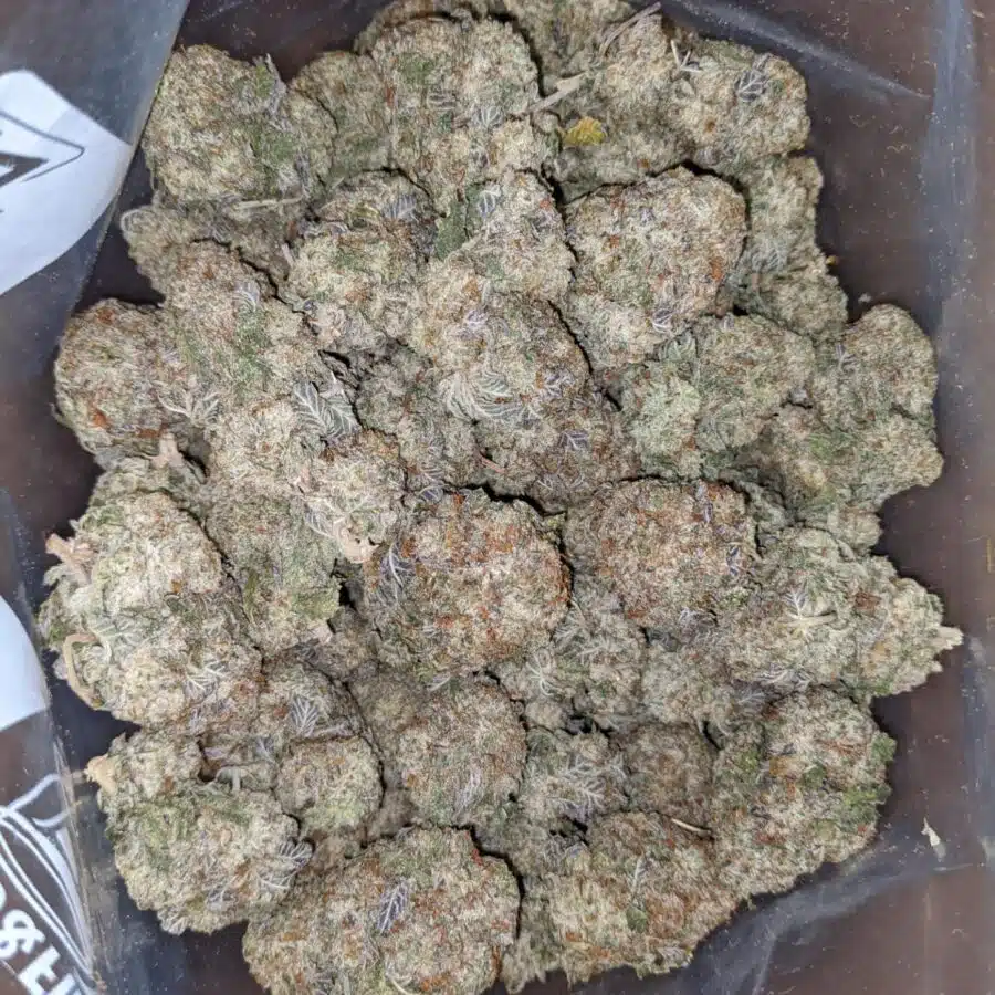 WhatsApp Image 2024 04 26 at 1.53.58 PM I Space Zkittles