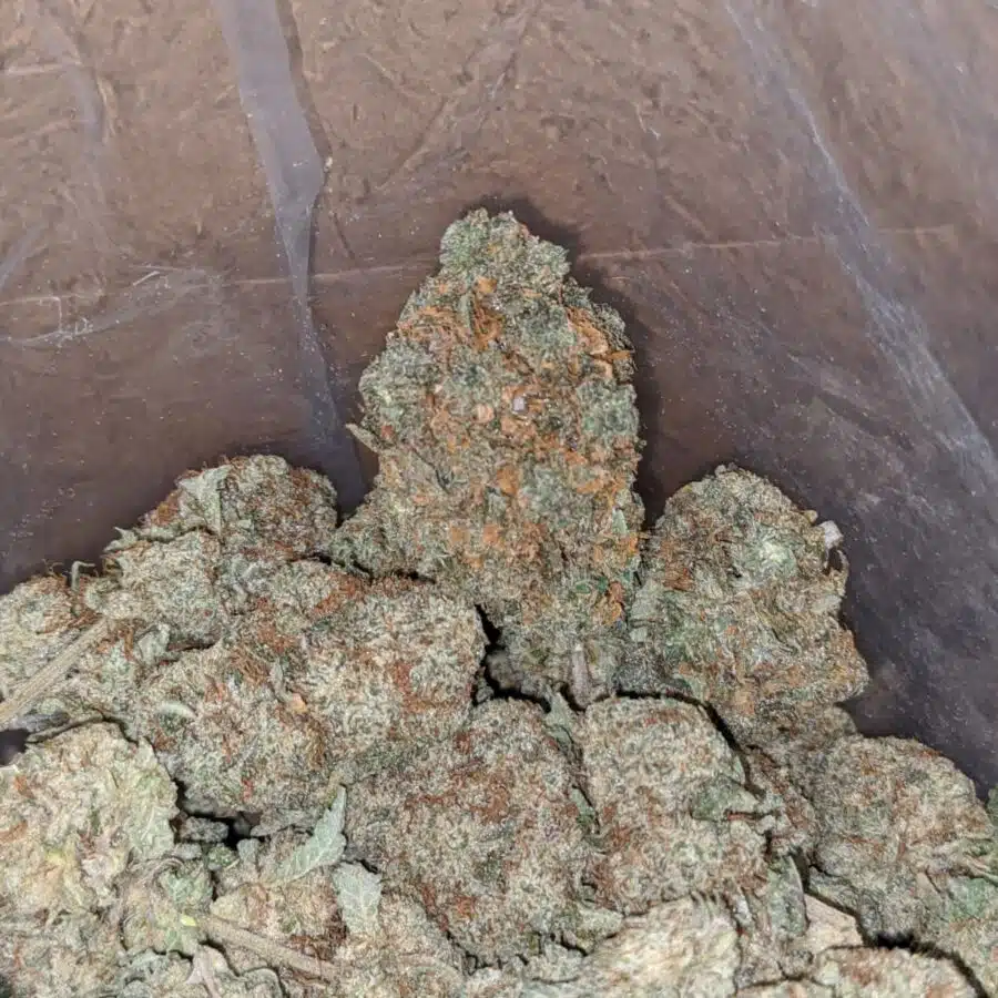 chemdawg 2 I $ 50 Oz - Chemdawg