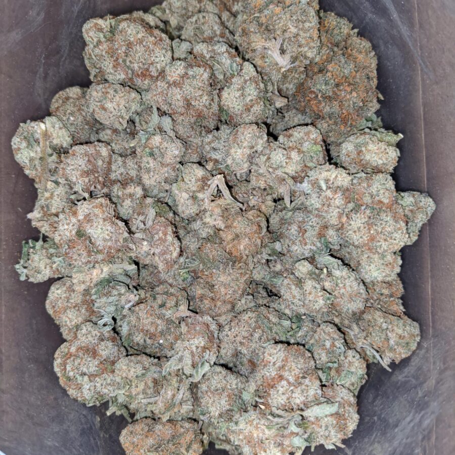 chemdawg 4 I Chemdawg
