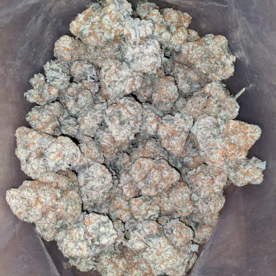 crunchberry 1 I $ 43 Oz - Crunchberry