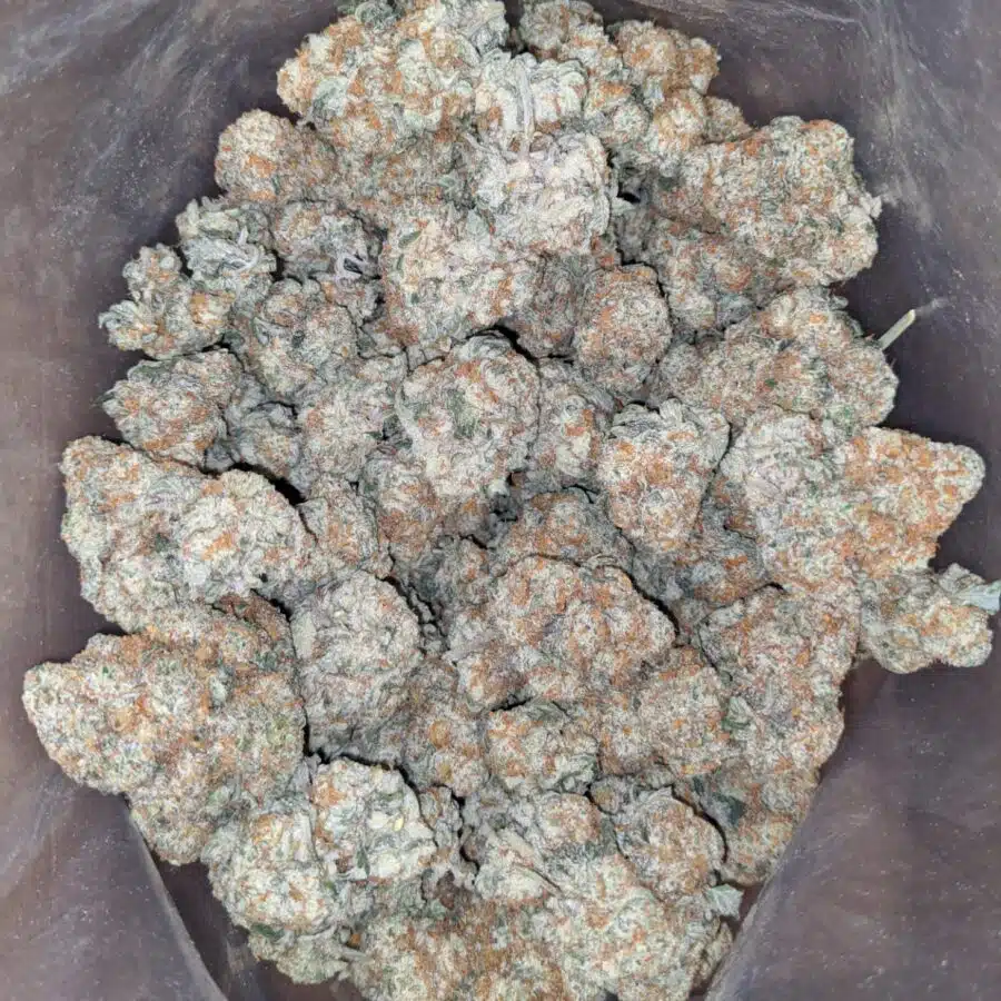 crunchberry 2 I $ 43 Oz - Crunchberry