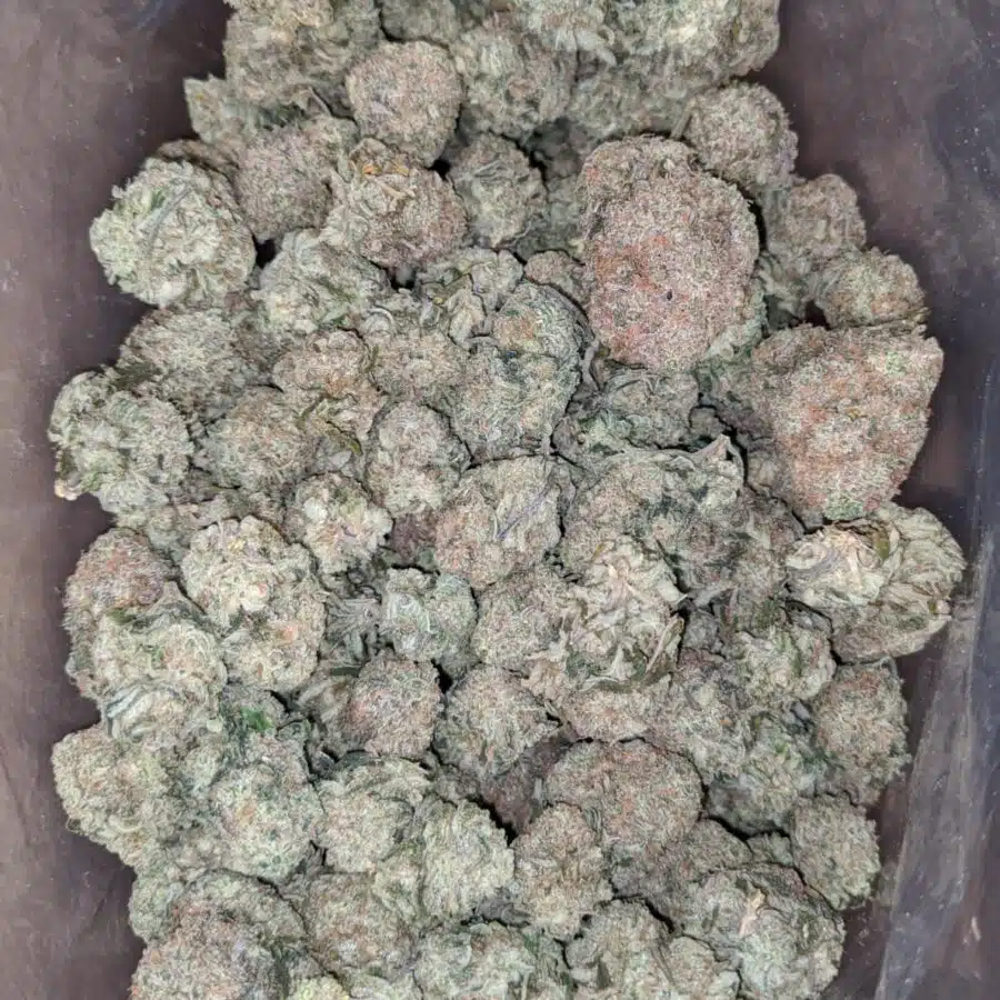 grape cough 1 I Grape Cough