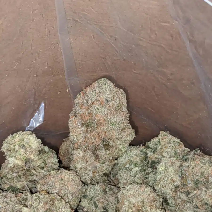 grape cough 3 I Grape Cough
