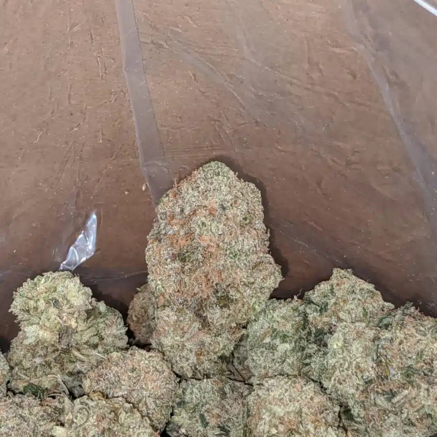 grape cough 4 I Grape Cough