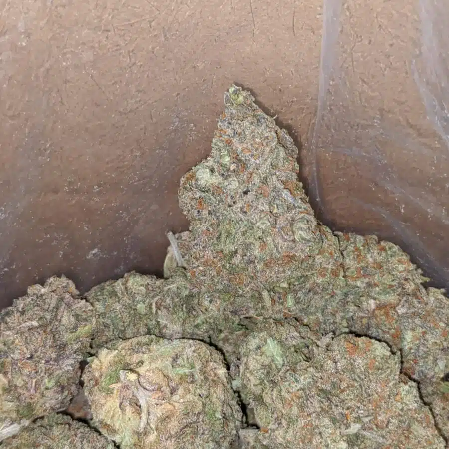 greenfarm alaskan thunderfuck 1 I Greenfarm's Alaskan Thunderfuck