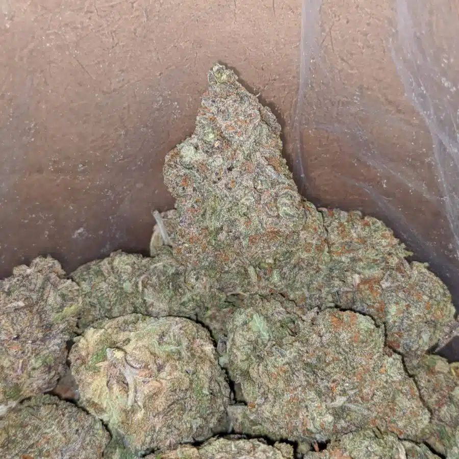 greenfarm alaskan thunderfuck 2 I Greenfarm's Alaskan Thunderfuck