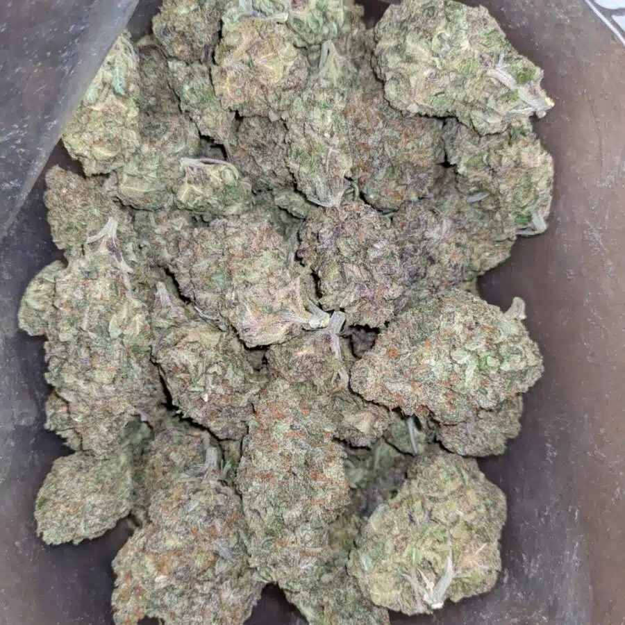 greenfarm alaskan thunderfuck 3 1 rotated I Greenfarm's Alaskan Thunderfuck