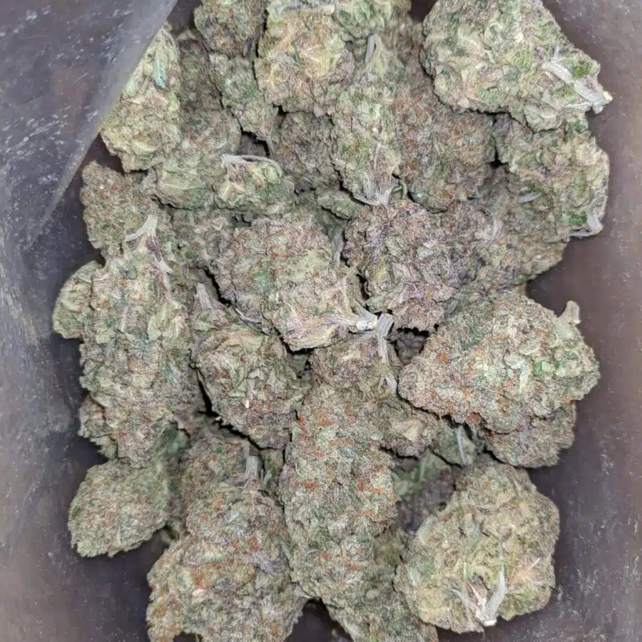 greenfarm alaskan thunderfuck 4 1 rotated I Greenfarm's Alaskan Thunderfuck