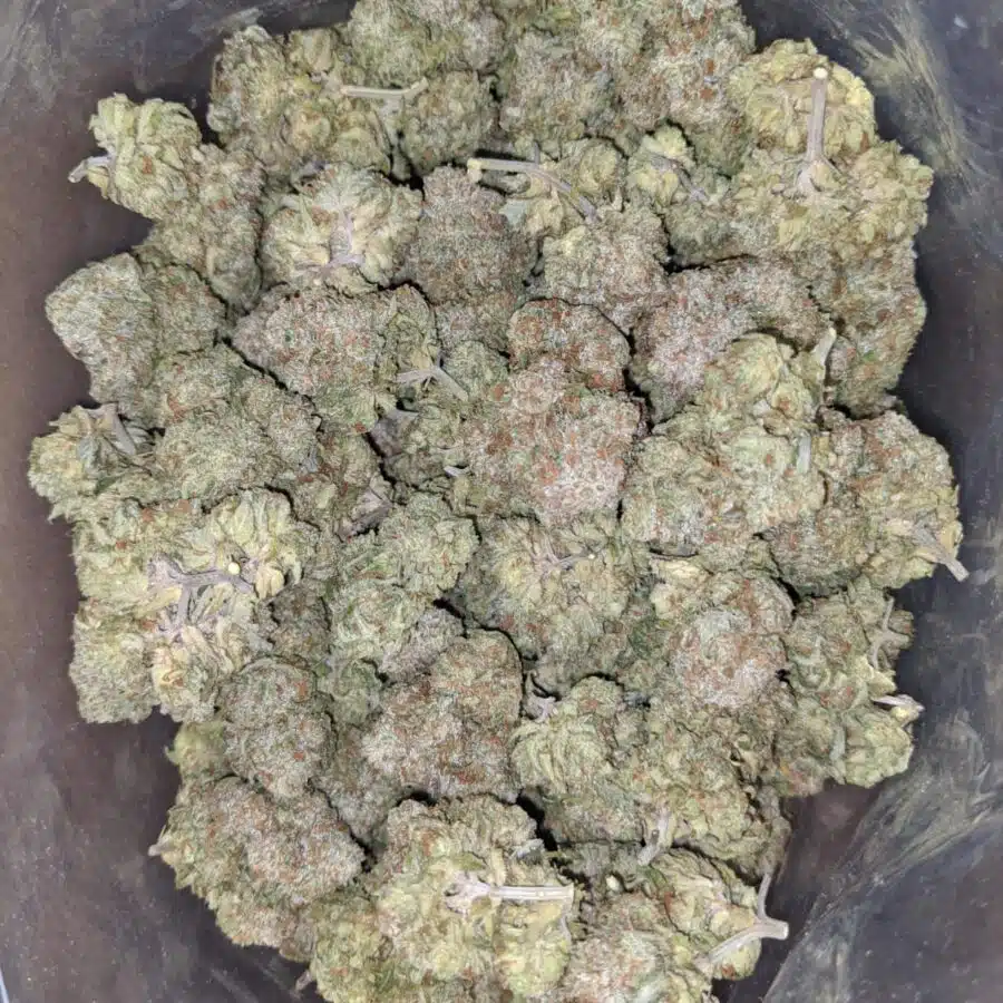 lemonade 1 1 I Lemonade
