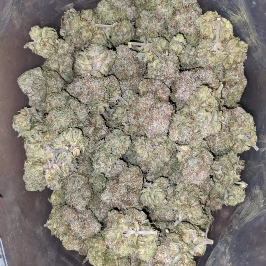 lemonade 2 1 I Lemonade